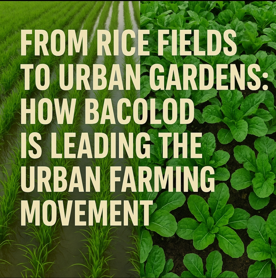 From Rice Fields to Urban Gardens: How Bacolod is Leading the Urban Farming Movement