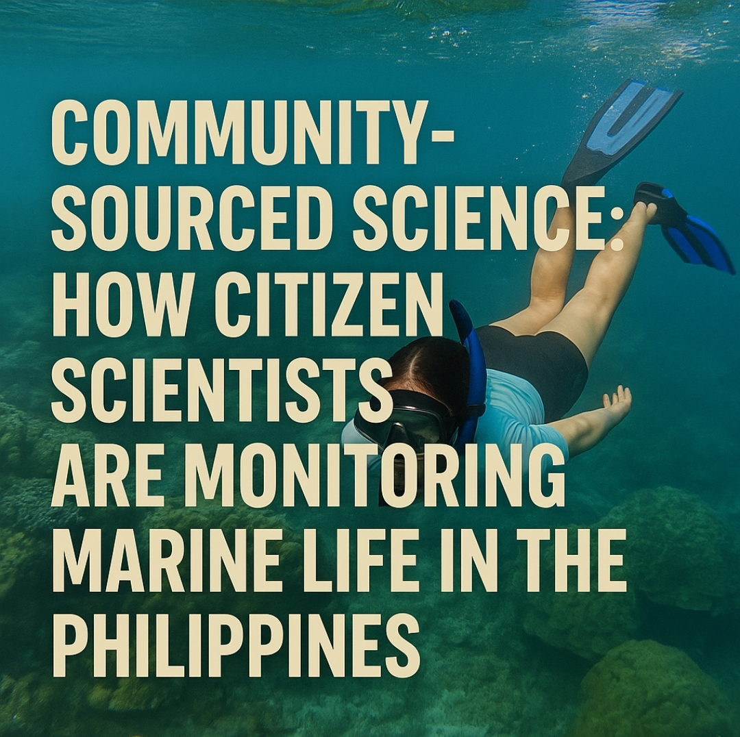 Community-Sourced Science: How Citizen Scientists Are Monitoring Marine Life in the Philippines